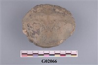 藏品(螃蟹)的圖片